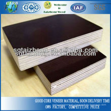 12mm Poplar Core Black Film Faced Plywood